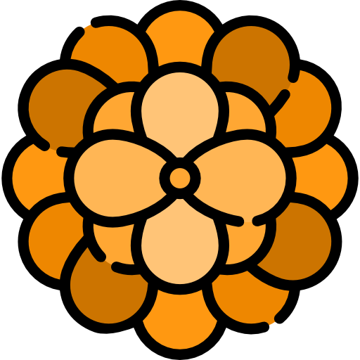 Flor de Cempasúchil